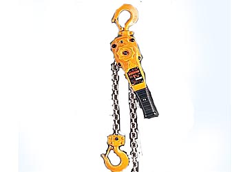  LB lever hoists  LB008